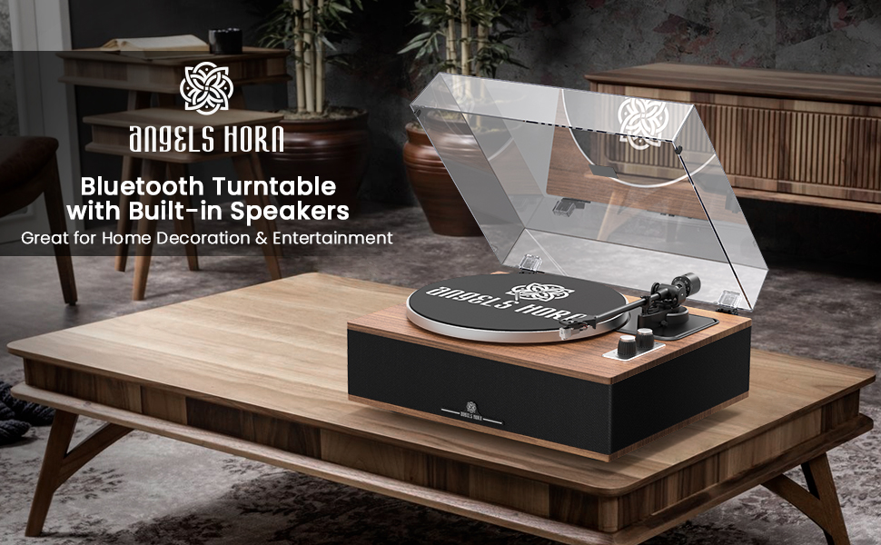 vinyl record player